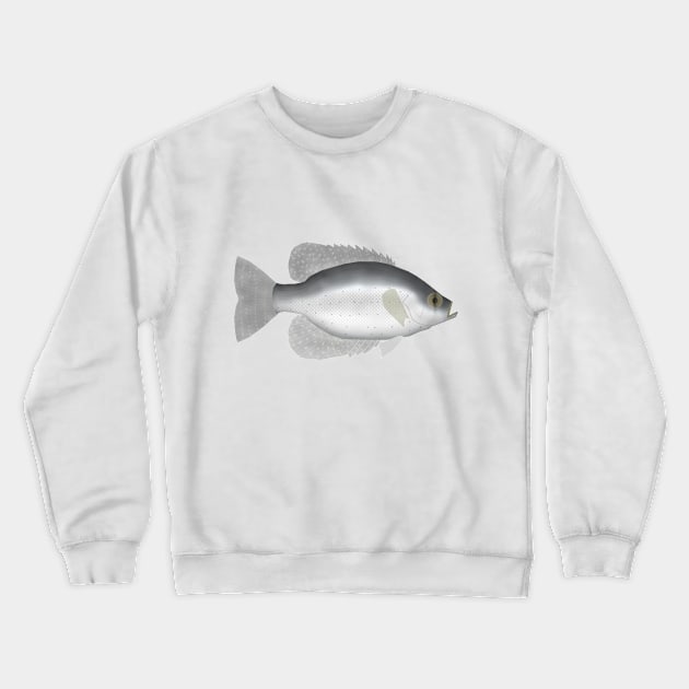 Flier Sunfish Crewneck Sweatshirt by FishFolkArt